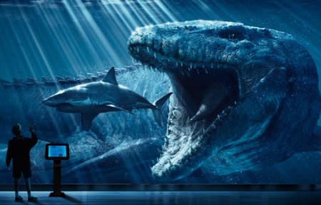 纪录片《蓝色星球》海报